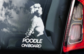 Poedel - Poodle V01