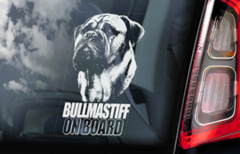 Bullmastiff V01