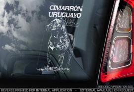 Cimarron Uruguayo V01