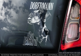 Dobermann ongecoupeerd V02