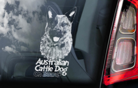 Australian Cattle Dog - Blue Heeler V06