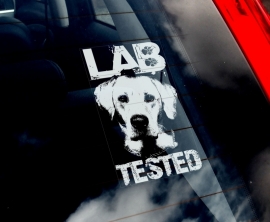 Lab Tested Labrador