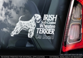 Irish Softcoated Wheaten Terrier V01