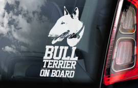 Bull Terrier V01