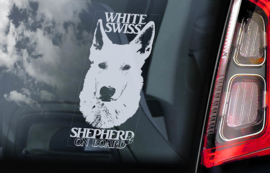 Zwitserse witte Herder - Vit Herdehund - White Shepherd V02