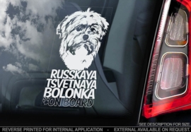 Russkaya Bolonka - Russian coloured bichon V01