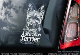 Australische Terrier - Australian Terrier V02