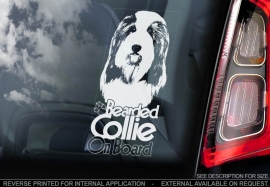 Bearded Collie V02