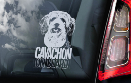 Cavachon V01