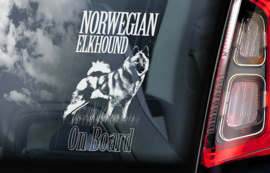 Norwegian Elkhound V01