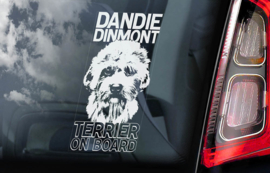 Dandie Dinmond Terrier V01