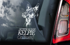 Australian Kelpie V01