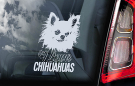 Chihuahua V10