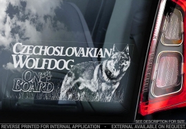 Tsjechoslowaakse Wolfhond - Czechoslovakian Wolfdog  V07