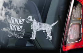 Border Terrier V02