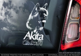 Akita (Amerikaanse) - American Akita - Amerikanische Akita V04