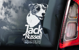 Jack Russel Terrier V02