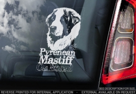 Pyreneese Mastiff - Pyrenean Mastiff V01