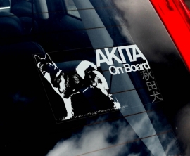 Akita (Amerikaanse) - American Akita - Amerikanische Akita V03