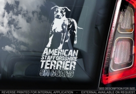 American Staffordshire Terrier V3