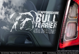 Staffordshire Bull Terrier V04