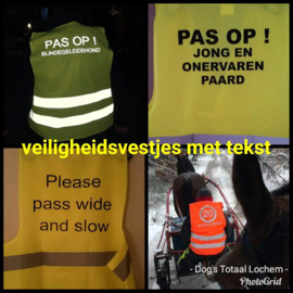 Veiligheidsvest met eigen text Reflectie