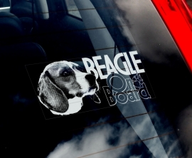 Beagle V02