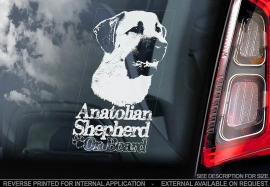 Anatolische Herder - Anatolian Sherpherd- Kangal V01