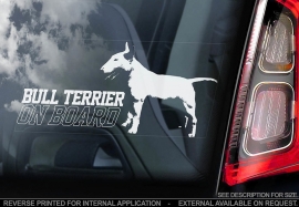 Bull Terrier V02