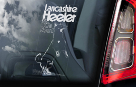 Lancashire Heeler V02