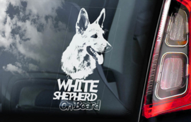Zwitserse witte Herder - Vit Herdehund - White Shepherd V01