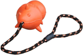 Fetchy Dog snorky with rope