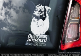 Australian Shepherd V04