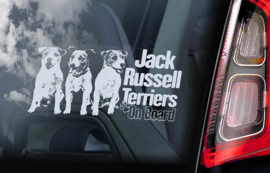 Jack Russel Terrier V05