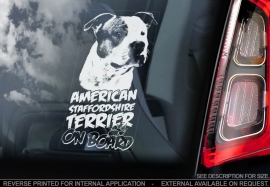 American Stafforshire Terrier  V6