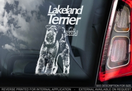 Lakeland Terrier V01