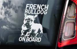 Franse Bulldog - French Bulldog -  V01