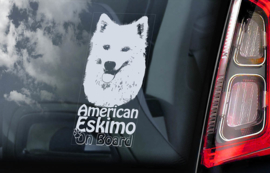 Amerikaanse Eskimohond - American Eskimo V01