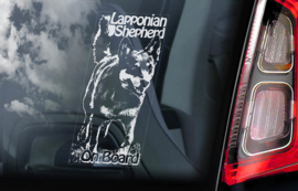 Laplandse Herder - Lapponian Herder  - Lapponian Shepherd V01