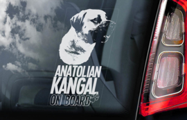 Anatolische Herder - Anatolian Sherpherd- Kangal V02