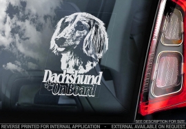 Dashond - Dachshund - V08