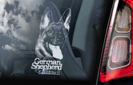 Duitse Herderhond - Deutscher Schäferhund - German Shepherd  V18