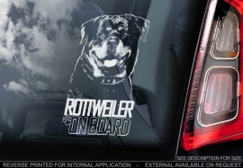 Rottweiler V04