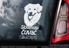 Slovensky Cuvac - Kuvasz V01