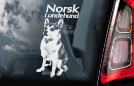 Norsk Lundehund V01