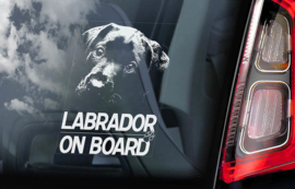 Labrador Retriever V02