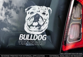 Engelse Bulldog - English Bulldog - V02