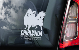 Chihuahua langhaar V07