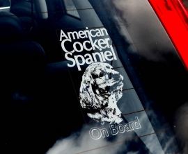 Amerikaanse Cocker Spaniel V01