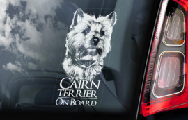 Cairn Terrier V01